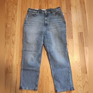 Everlane original curvy cheeky jean 31